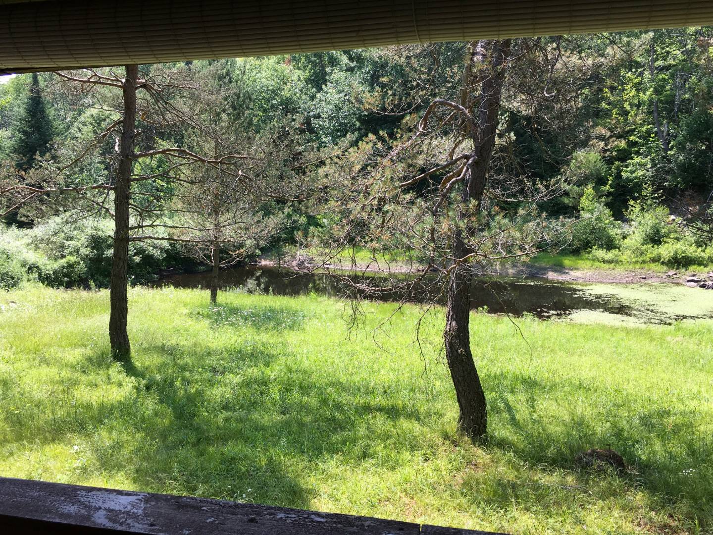 11493 NYS Rte 812, Natural Bridge, NY 13665 (Sold NYStateMLS Listing