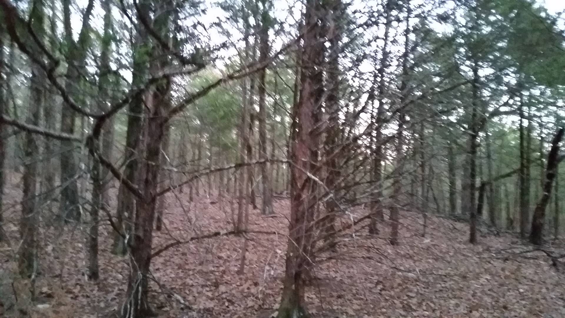 TBD Iron Horse Rd., Buffalo Valley, OK 74571 (Sold NYStateMLS Listing 10916561)