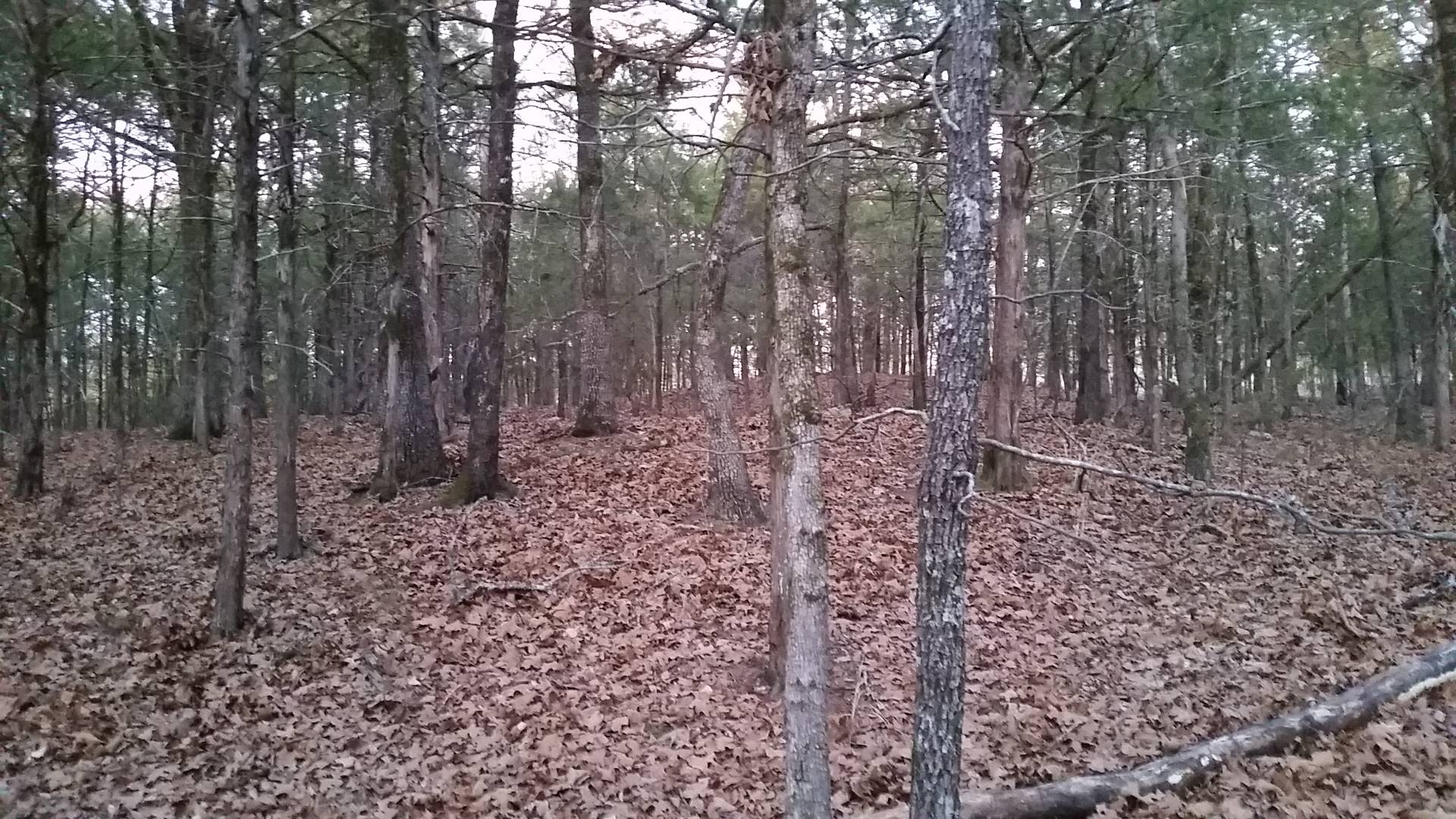 TBD Iron Horse Rd., Buffalo Valley, OK 74571 (Sold NYStateMLS Listing