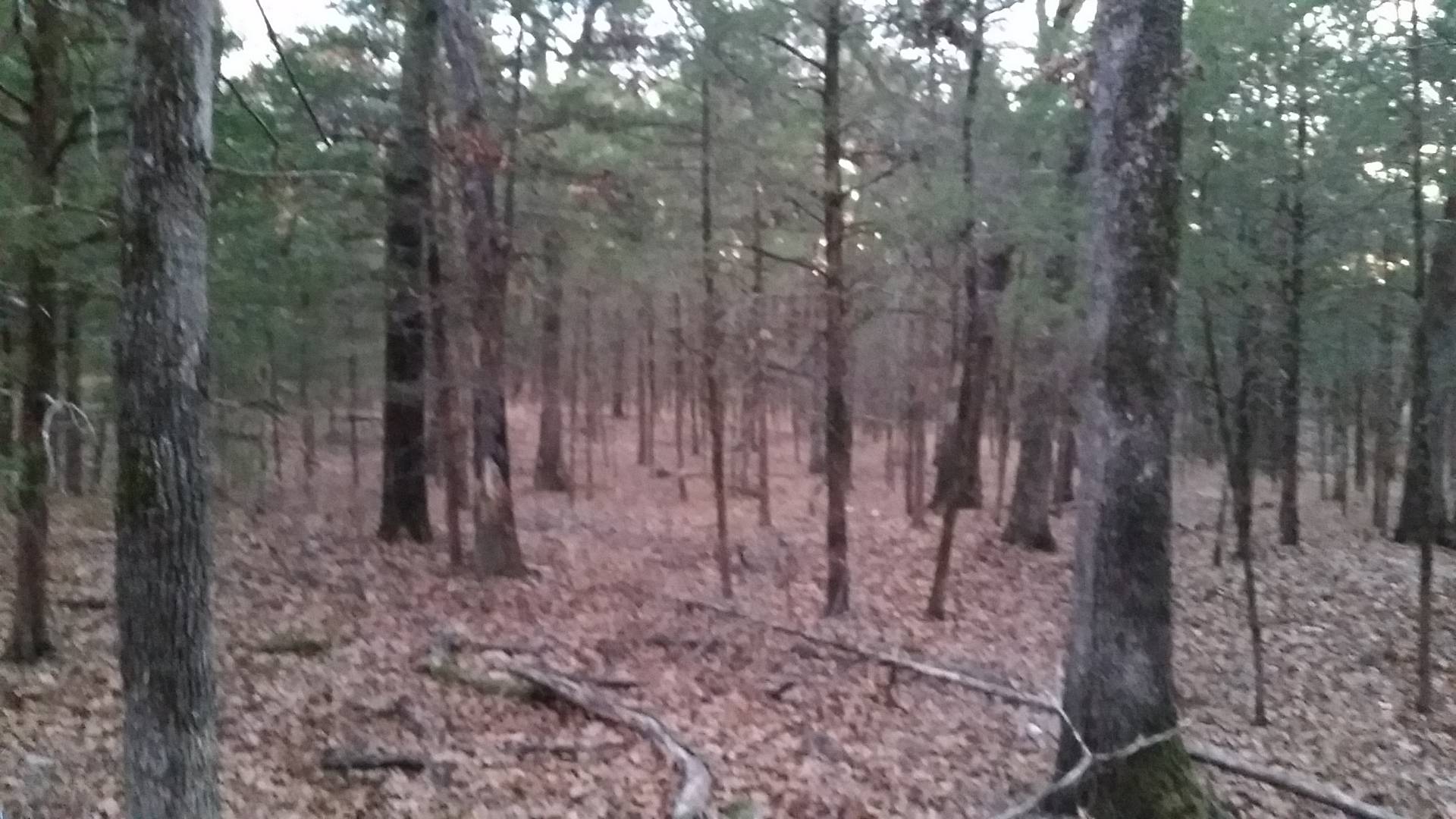 TBD Iron Horse Rd., Buffalo Valley, OK 74571 (Sold NYStateMLS Listing 10916561)