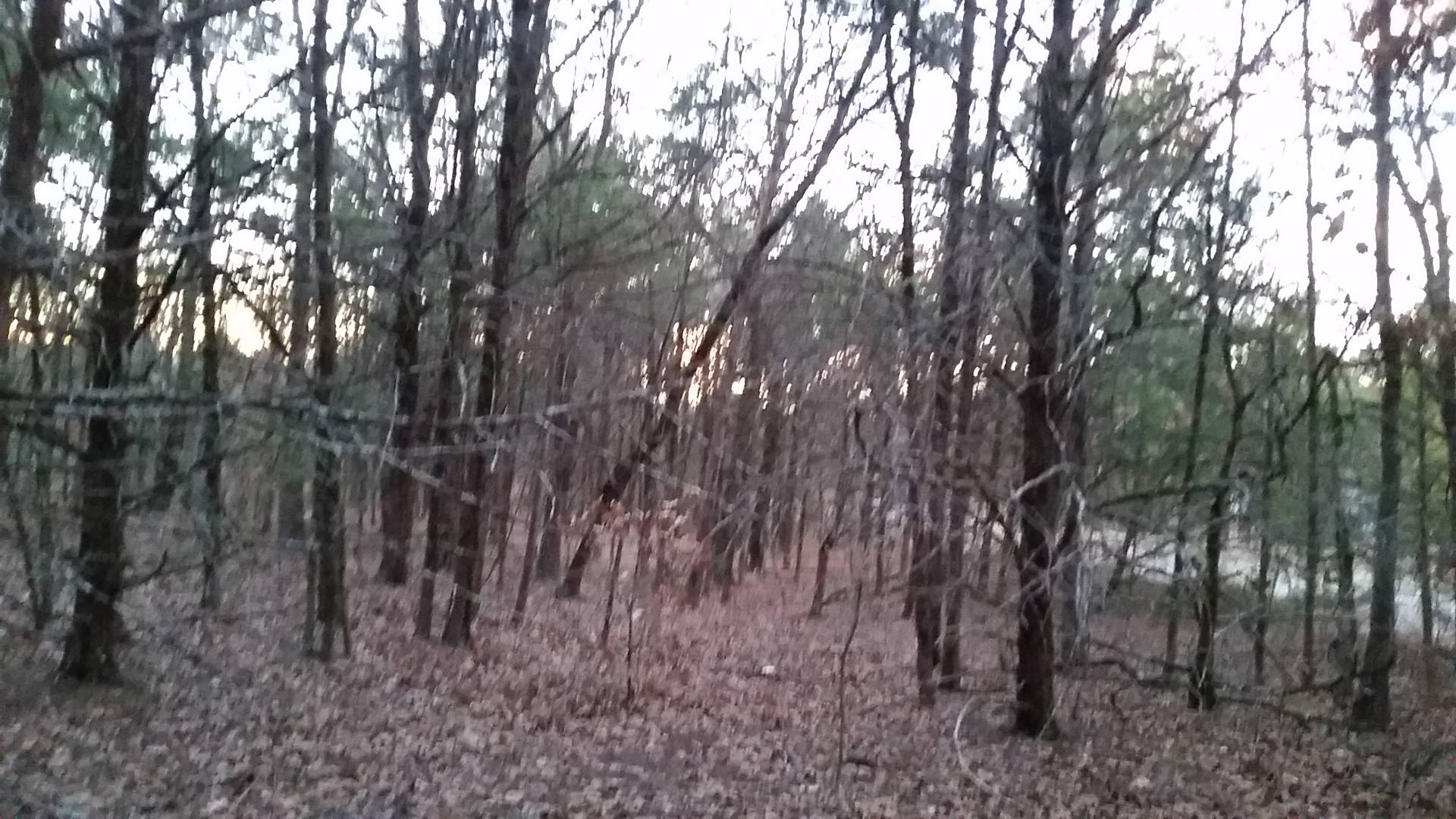 TBD Iron Horse Rd., Buffalo Valley, OK 74571 (Sold NYStateMLS Listing 10916561)