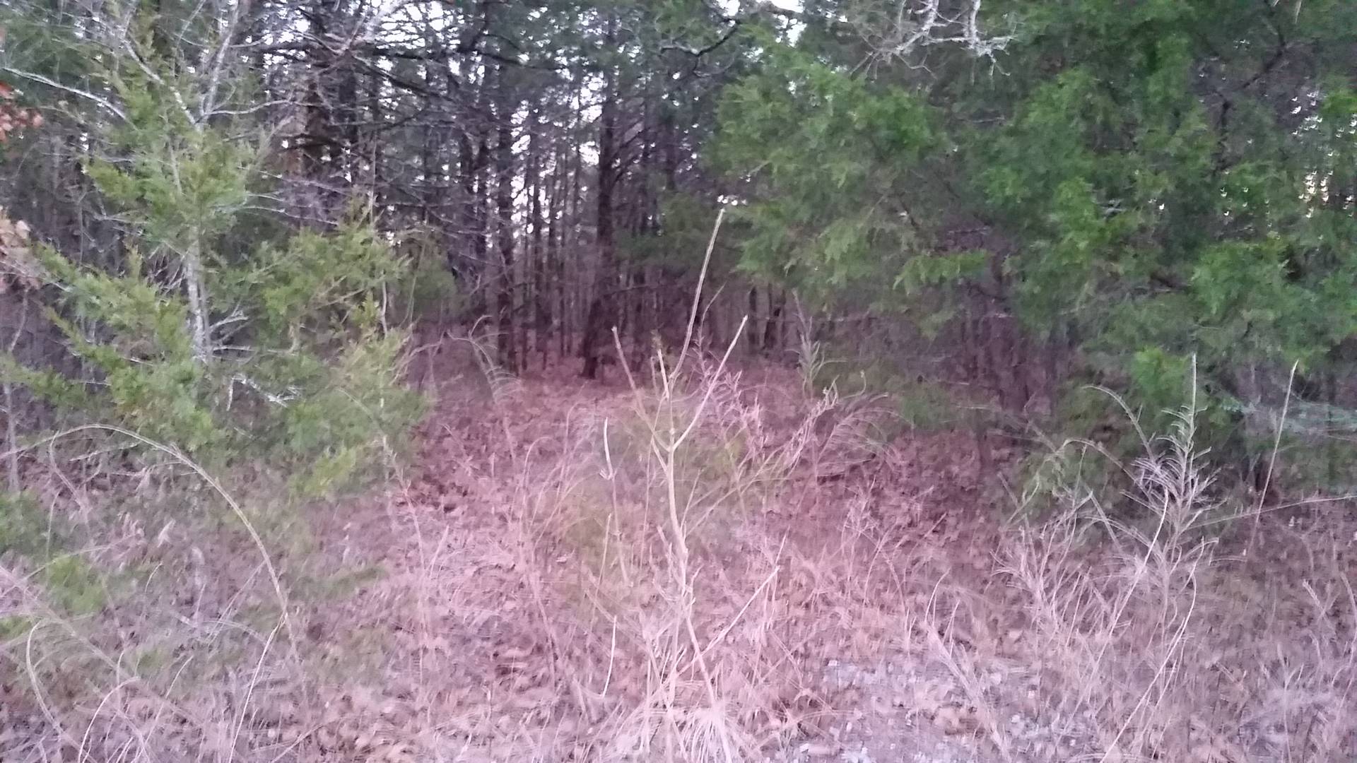 TBD Iron Horse Rd., Buffalo Valley, OK 74571 (Sold NYStateMLS Listing 10916561)