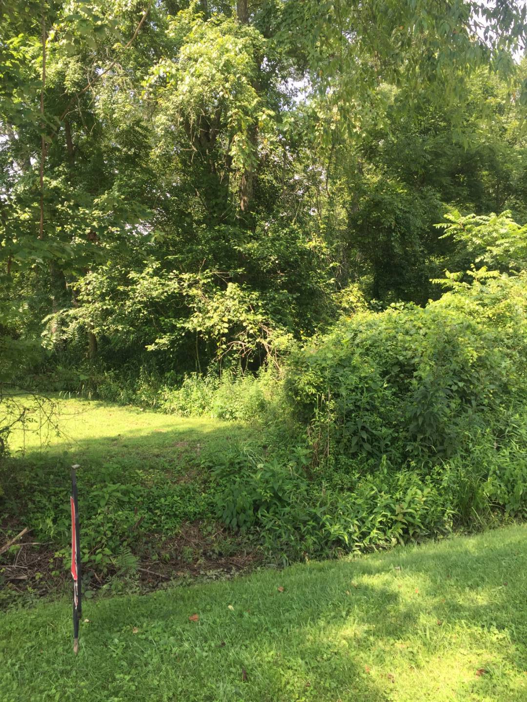 0 Limerick Road, Jackson, OH 45640 (Off Market MyStateMLS Listing 10925536)