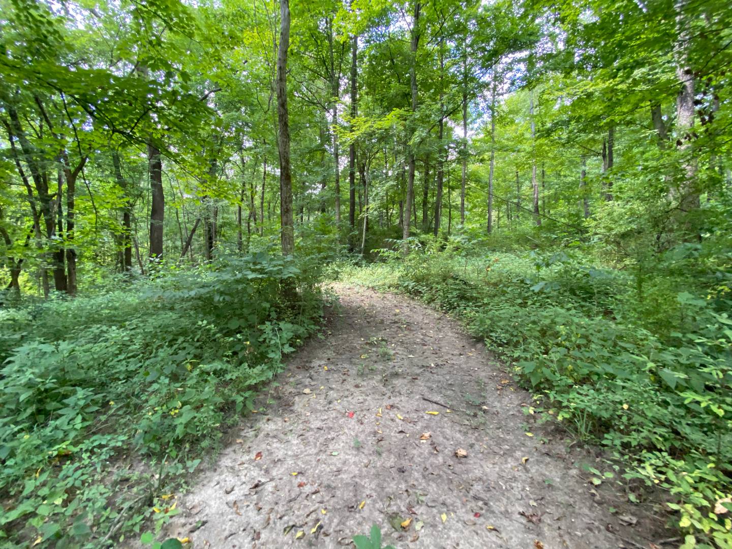 Huntington Road, Marion, IN 46952 (Sold MyStateMLS Listing 10928988)