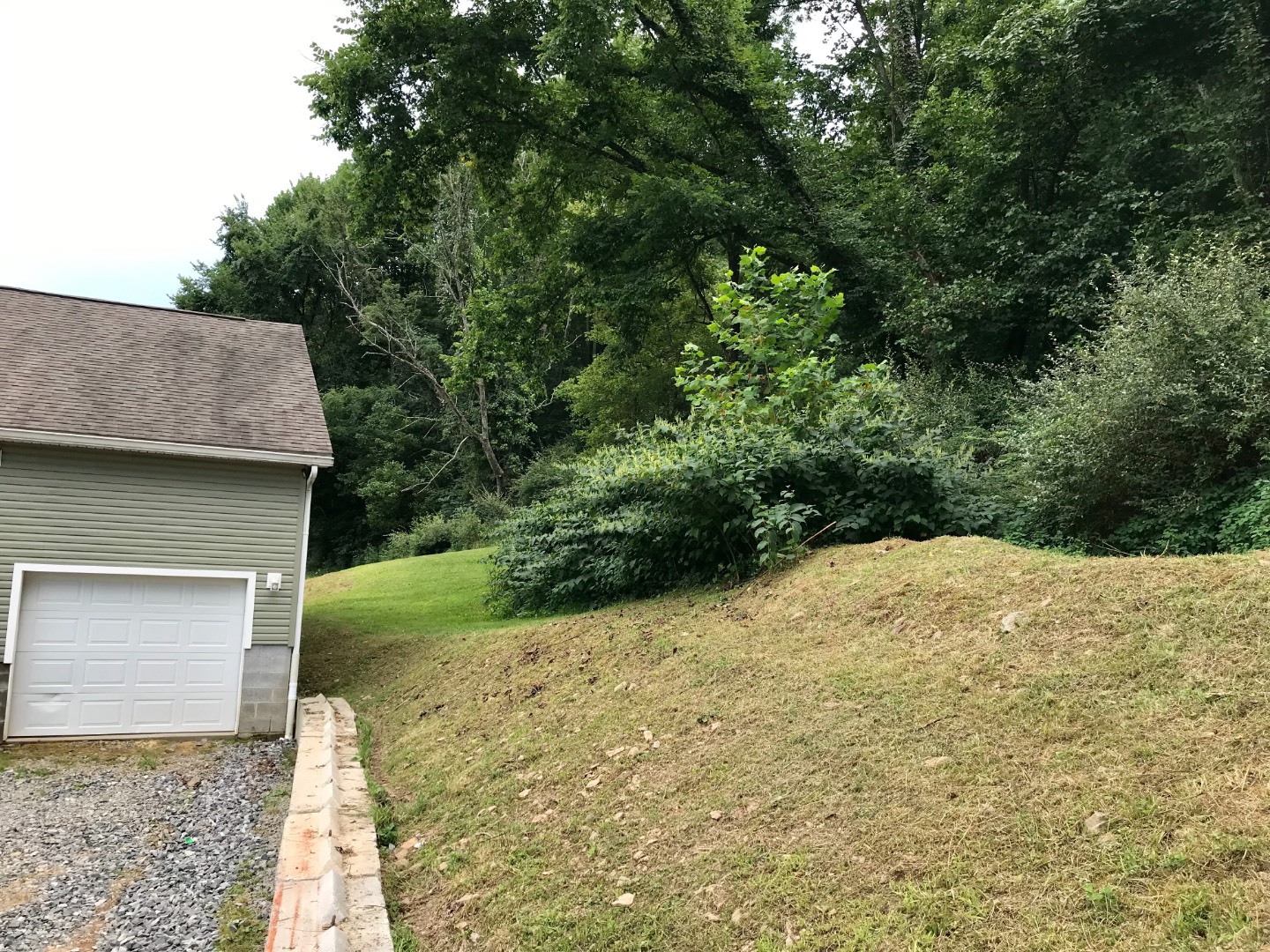 10215 Exchange Road, Exchange, WV 26619 (Sold MyStateMLS Listing 10926791)