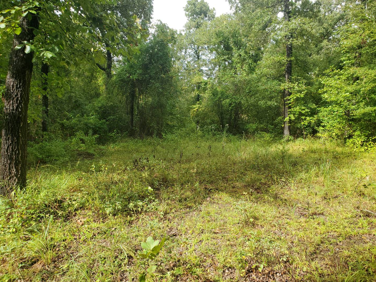 88 Katy Road, Tushka, OK 74525 (Sold NYStateMLS Listing 10930179)