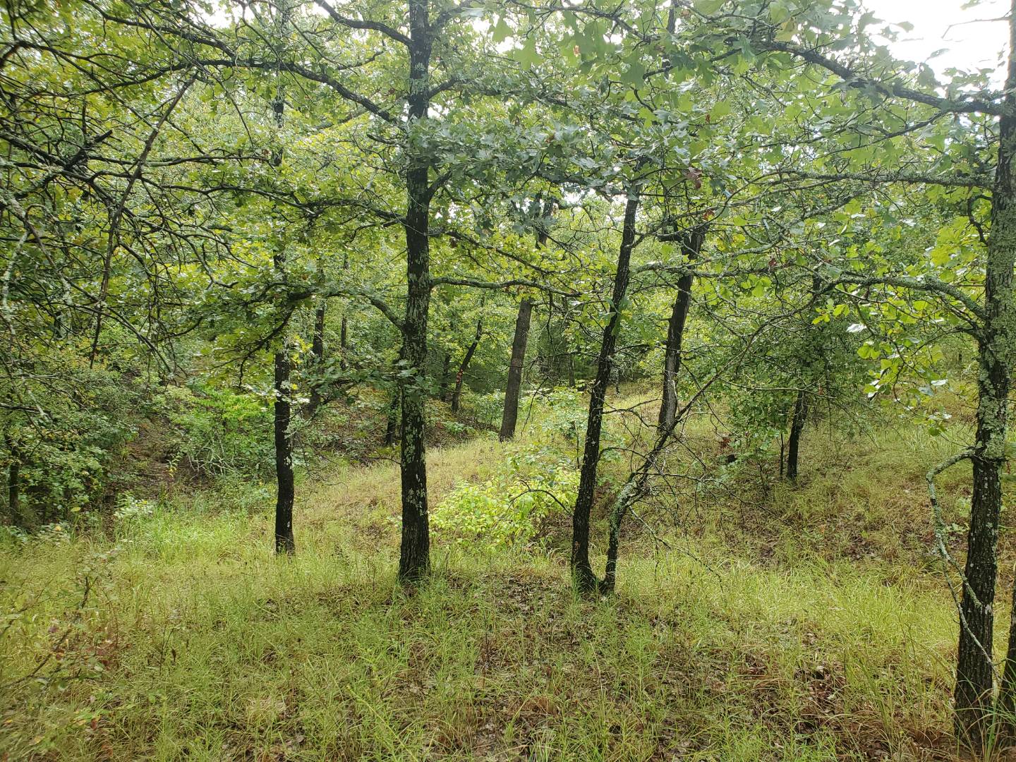 88 Katy Road, Tushka, OK 74525 (Sold NYStateMLS Listing 10930179)