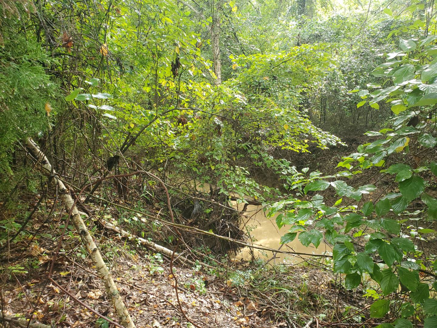 88 Katy Road, Tushka, OK 74525 (Sold NYStateMLS Listing 10930179)