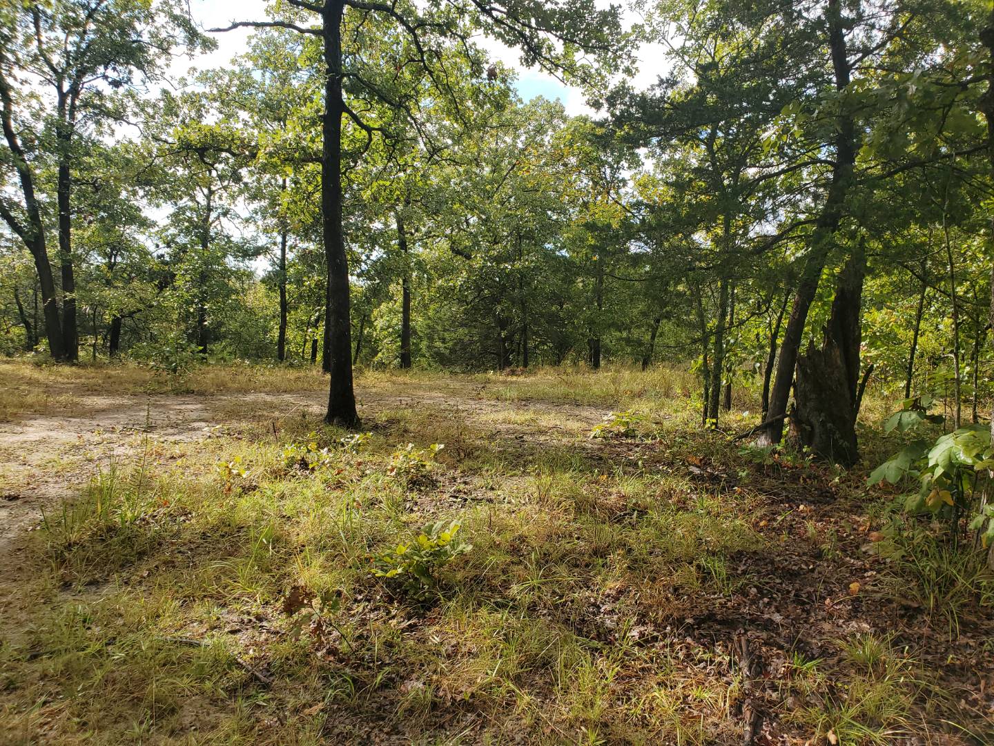 88 Katy Road, Tushka, OK 74525 (Sold NYStateMLS Listing 10930179)