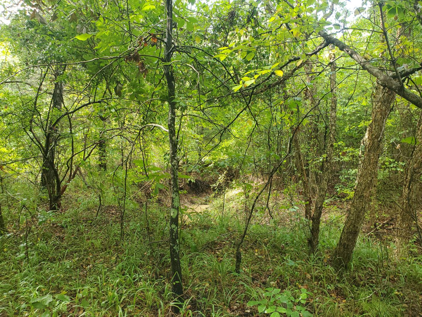 88 Katy Road, Tushka, OK 74525 (Sold NYStateMLS Listing 10930179)