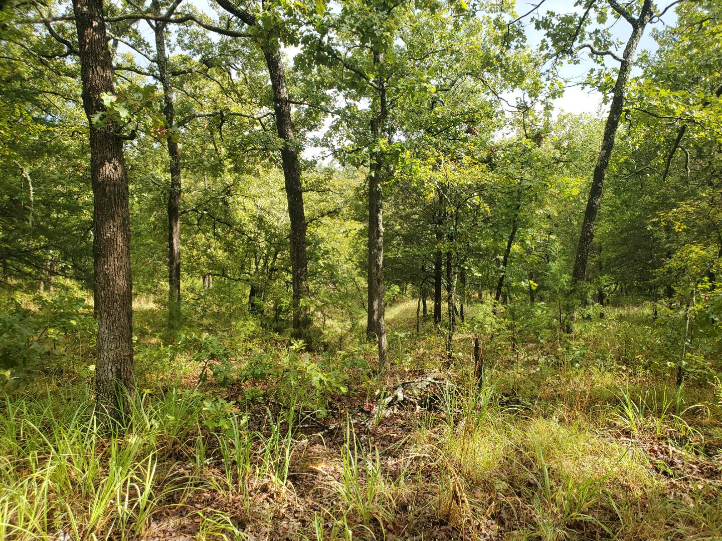 88 Katy Road, Tushka, OK 74525 (Sold NYStateMLS Listing 10930179)