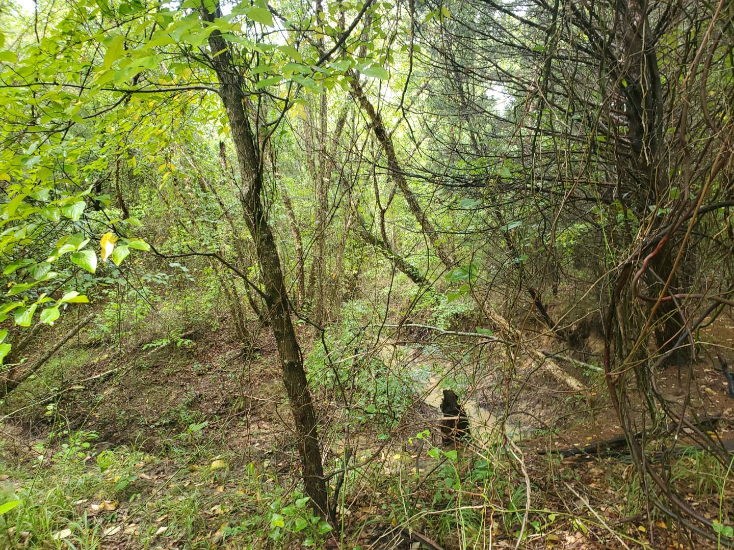 88 Katy Road, Tushka, OK 74525 (Sold NYStateMLS Listing 10930179)