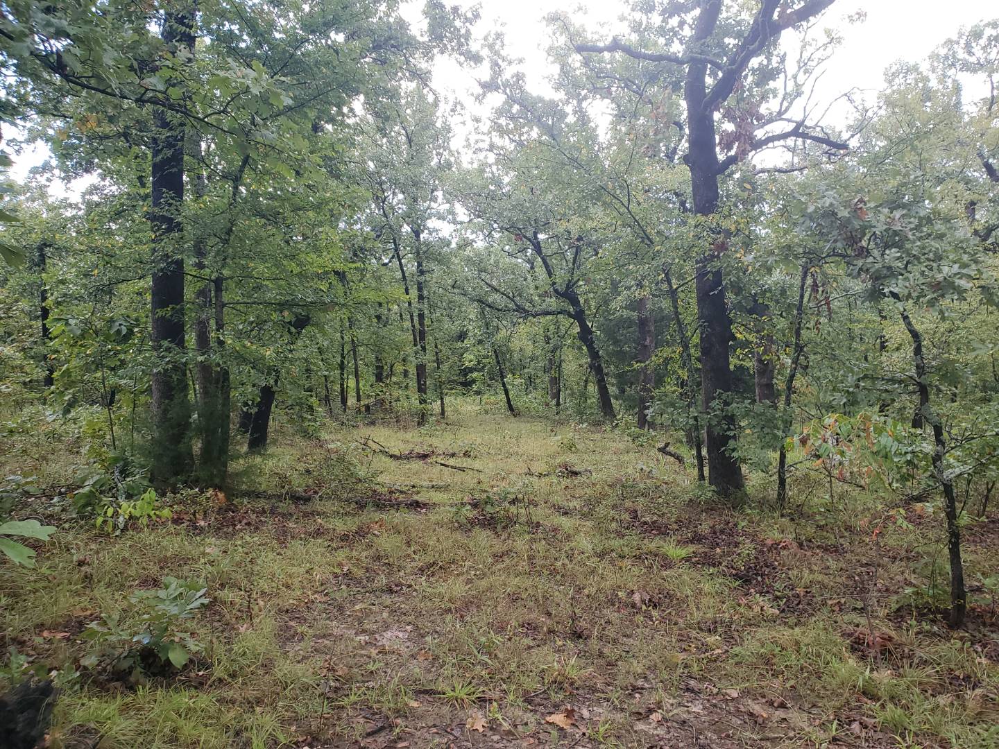 88 Katy Road, Tushka, OK 74525 (Sold NYStateMLS Listing 10930179)