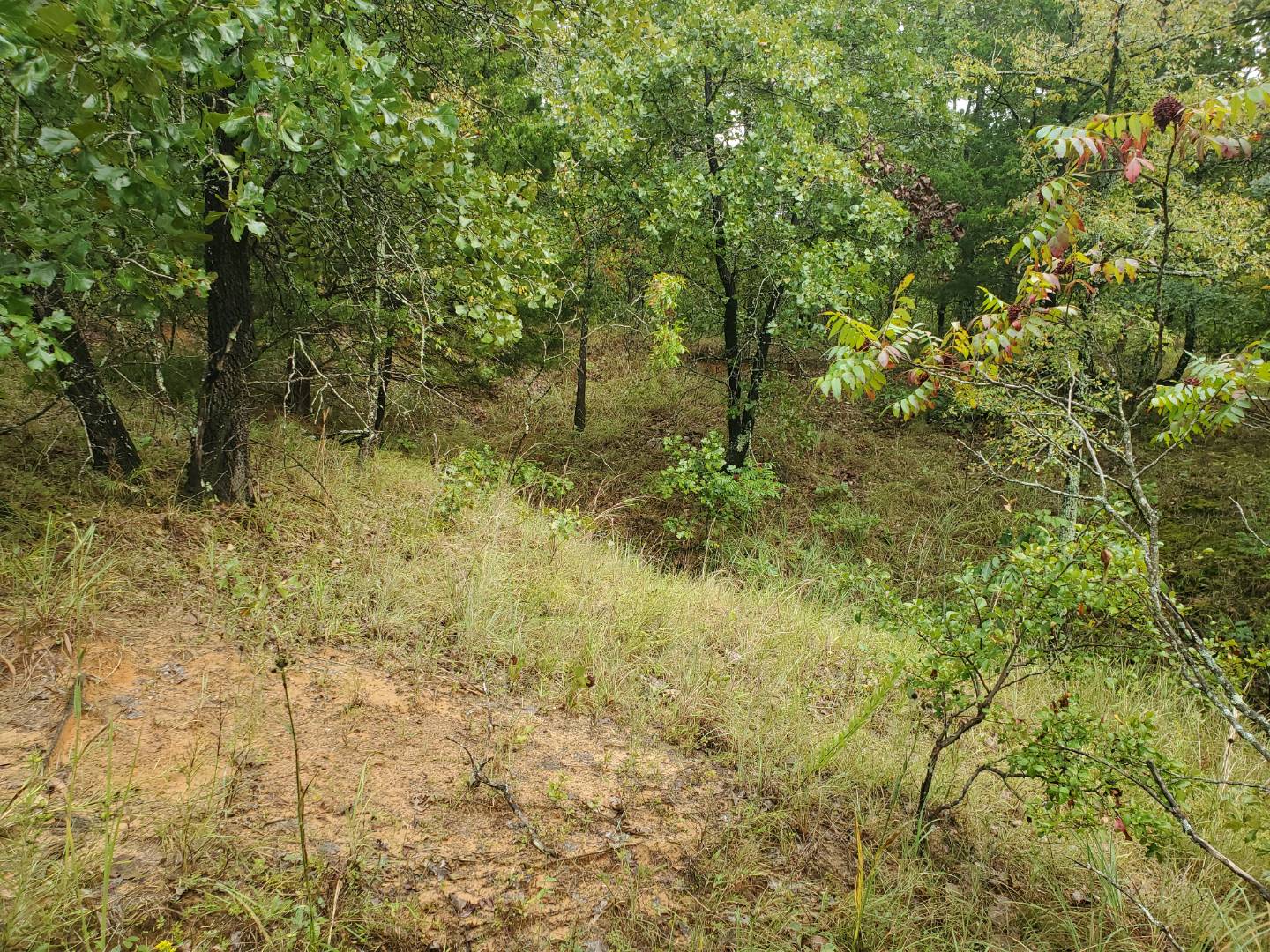 88 Katy Road, Tushka, OK 74525 (Sold NYStateMLS Listing 10930179)