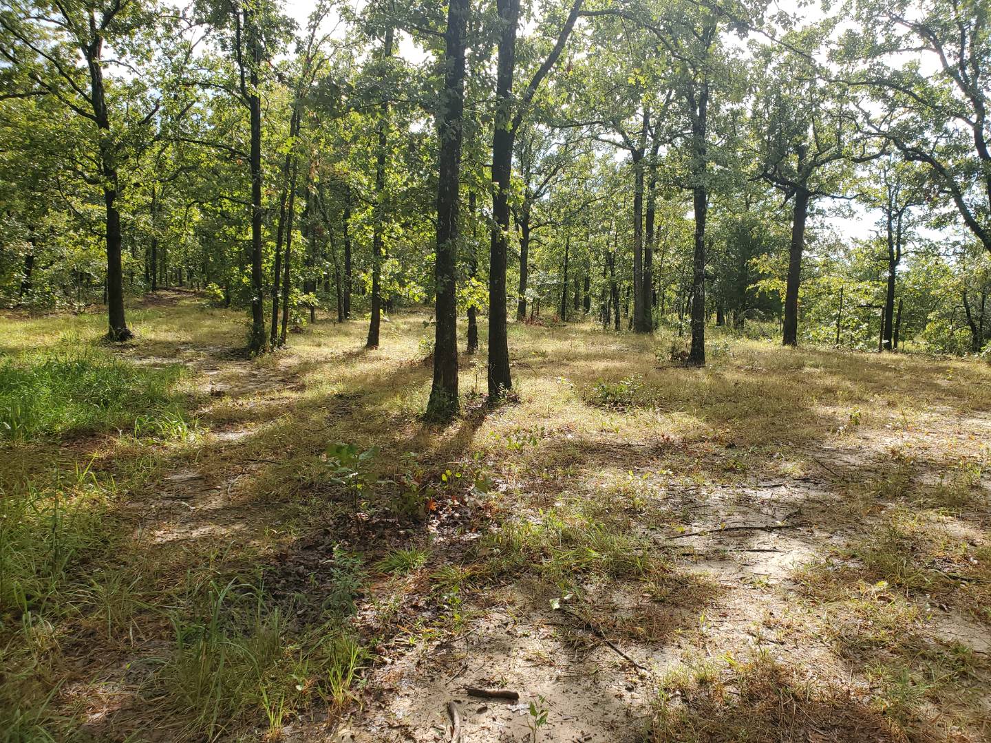 88 Katy Road, Tushka, OK 74525 (Sold NYStateMLS Listing 10930179)