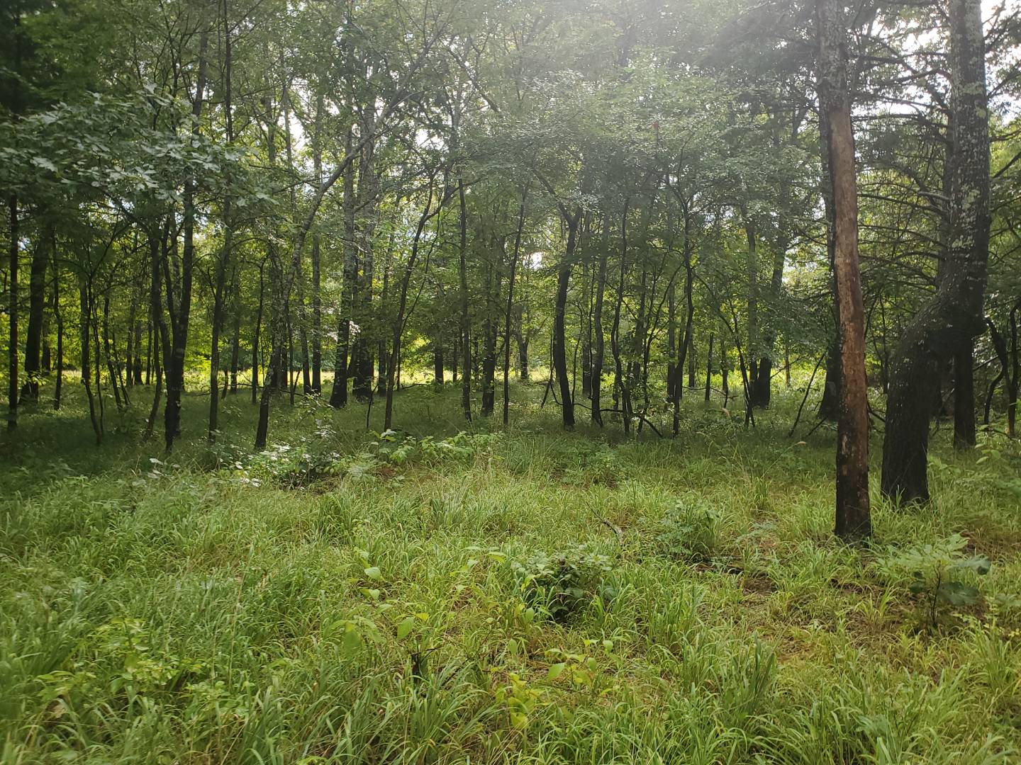 88 Katy Road, Tushka, OK 74525 (Sold NYStateMLS Listing 10930179)