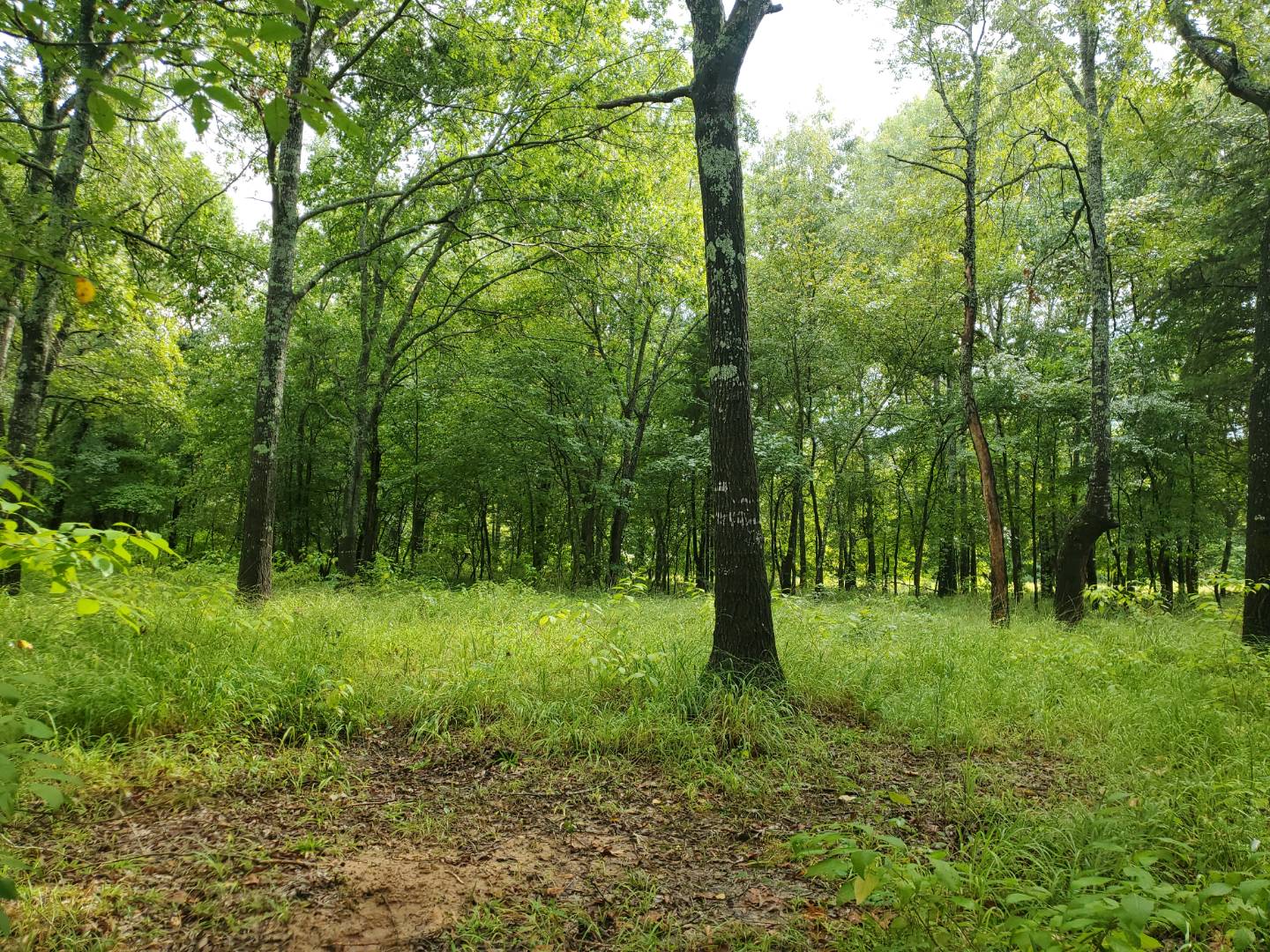 88 Katy Road, Tushka, OK 74525 (Sold NYStateMLS Listing 10930179)