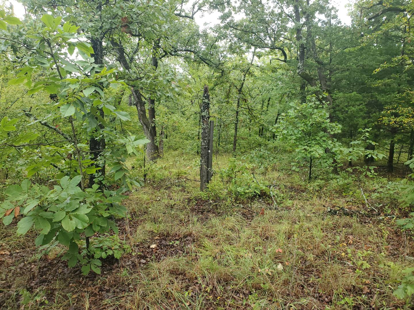 88 Katy Road, Tushka, OK 74525 (Sold NYStateMLS Listing 10930179)